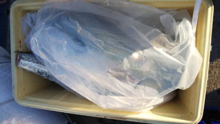 第二龍勢丸 釣果