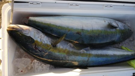 第二龍勢丸 釣果