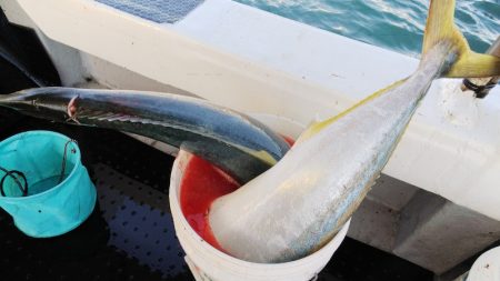 第二龍勢丸 釣果