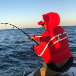 「LaGooN」蒼陽丸 日和号 釣果