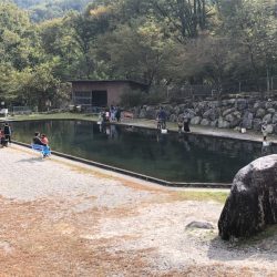 白州トラウトフィッシングエリア シルフ 釣果