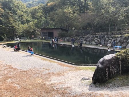 白州トラウトフィッシングエリア シルフ 釣果