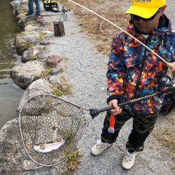 白州トラウトフィッシングエリア シルフ 釣果