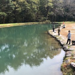 白州トラウトフィッシングエリア シルフ 釣果