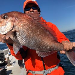 ランスルー 釣果