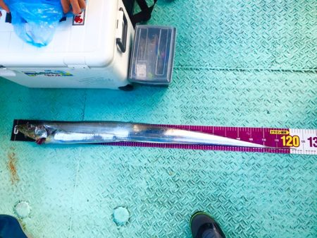 ヤザワ渡船 釣果