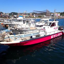 龍神丸（鹿児島） 釣果