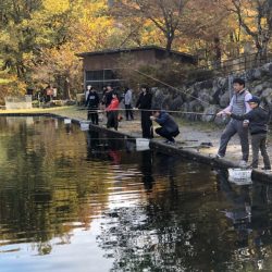 白州トラウトフィッシングエリア　シルフ 釣果