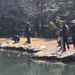 白州トラウトフィッシングエリア　シルフ 釣果