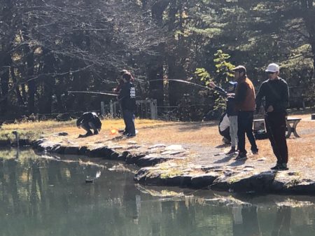 白州トラウトフィッシングエリア　シルフ 釣果