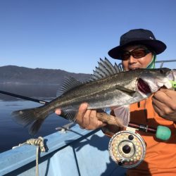 アマテラス 釣果