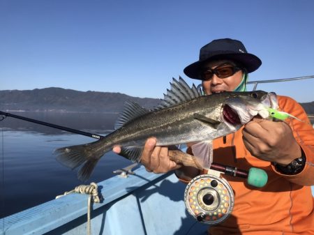 アマテラス 釣果