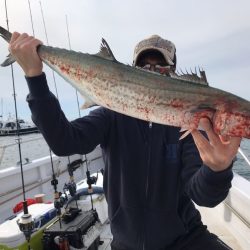 ランスルー 釣果