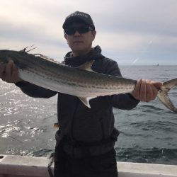 ランスルー 釣果