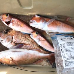 第二八坂丸 釣果