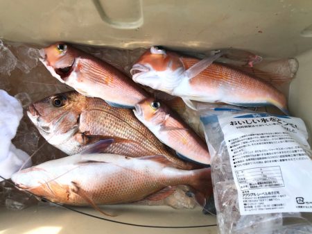 第二八坂丸 釣果