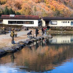 白州トラウトフィッシングエリア　シルフ 釣果