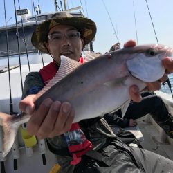 ランスルー 釣果