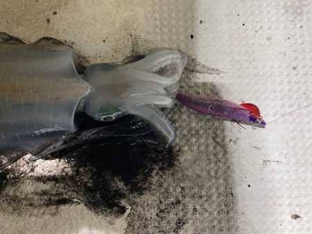 Monster Rush! 釣果