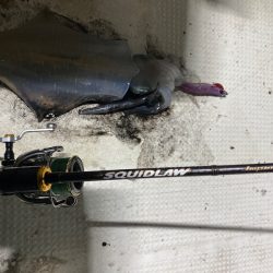 Monster Rush! 釣果