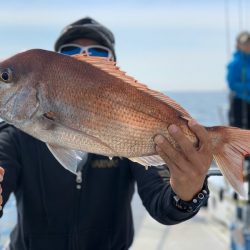 ランスルー 釣果
