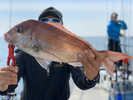 ランスルー 釣果