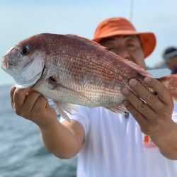 ランスルー 釣果