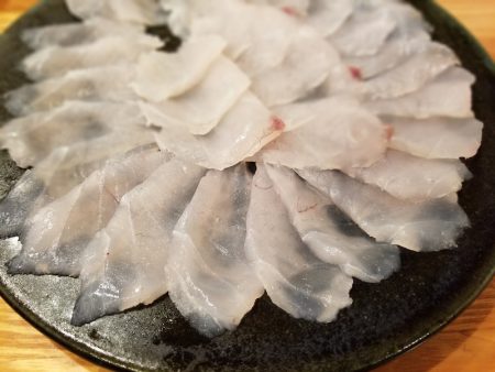 アマテラス 釣果