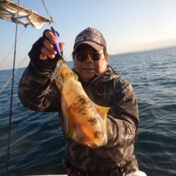 きずなまりん 釣果