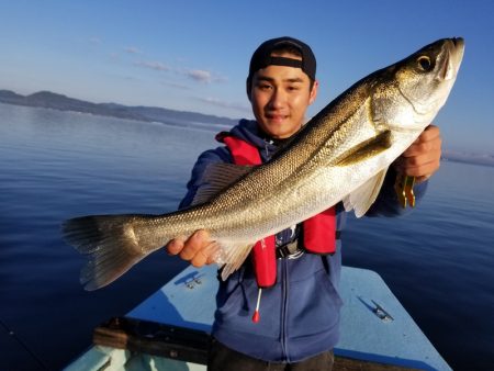 アマテラス 釣果