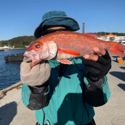 ぽん助丸 釣果