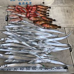 末広丸(熊本) 釣果