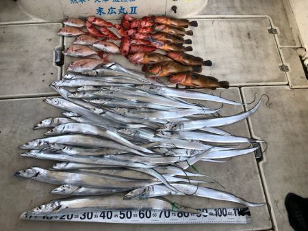 末広丸(熊本) 釣果