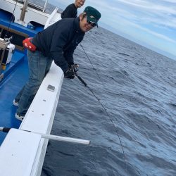 釣鯛洋 釣果