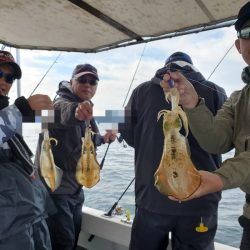 ソルトウォーターガイドフレンズ 釣果