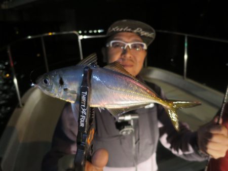 Chase(チェイス) 釣果