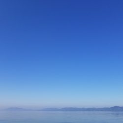 アマテラス 釣果