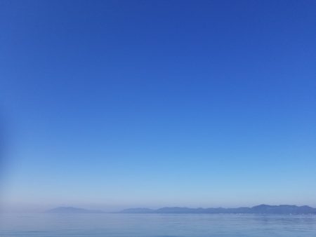 アマテラス 釣果