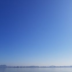 アマテラス 釣果