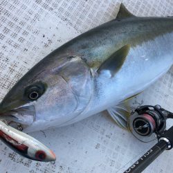 「LaGooN」蒼陽丸 日和号 釣果