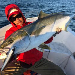 「LaGooN」蒼陽丸 日和号 釣果