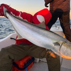 「LaGooN」蒼陽丸 日和号 釣果