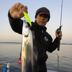 Chase(チェイス) 釣果