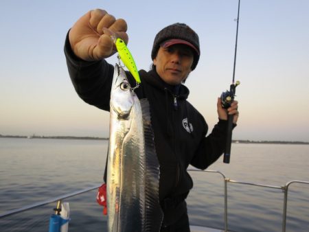 Chase(チェイス) 釣果