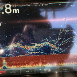 Chase(チェイス) 釣果