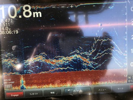 Chase(チェイス) 釣果