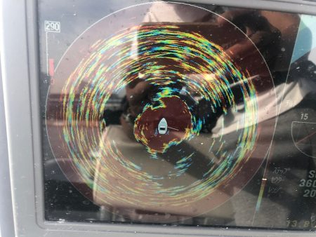 Chase(チェイス) 釣果