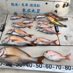 末広丸(熊本) 釣果