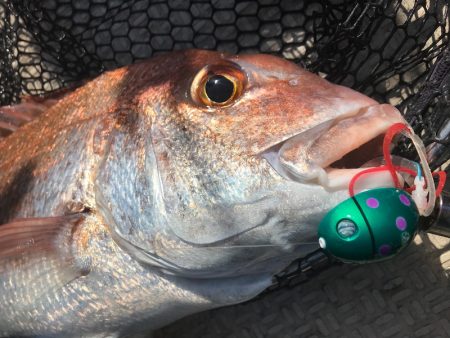 龍神丸（鹿児島） 釣果