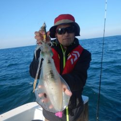 きずなまりん 釣果